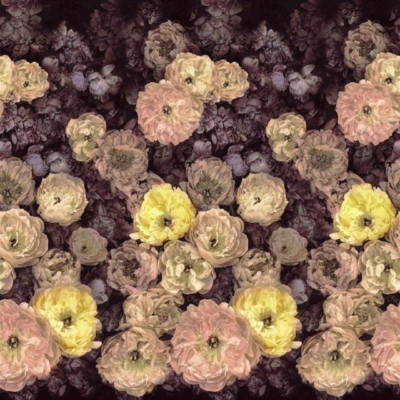 PDG1107/01 Le Poeme De Fleurs Scenes and Murals Wallpaper By Designers Guild