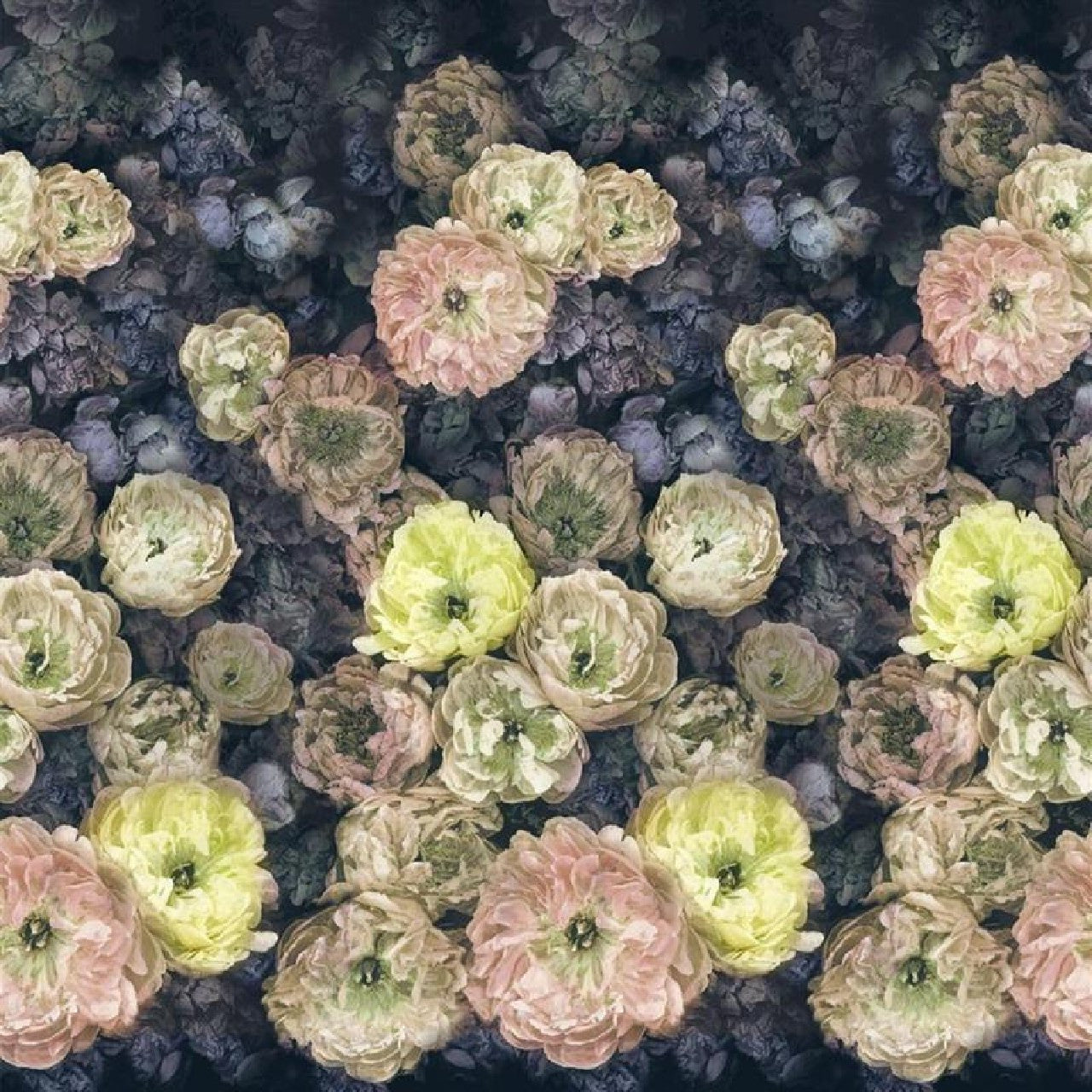 PDG1107/02 Le Poeme De Fleurs Scenes and Murals Wallpaper By Designers Guild