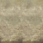 PDG1114/02 Suisai Scenes and Murals Wallpaper By Designers Guild