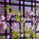 Chennai Scenes and Murals II Wallpaper By Designers Guild