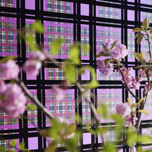 Chennai Scenes and Murals II Wallpaper By Designers Guild