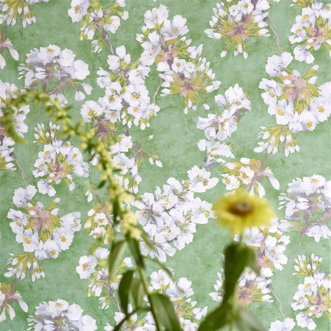 PDG1148/02 Fleur D'Assam Porcelaine De Chine Emerald Wallpaper by Designers Guild
