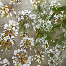 PDG1148/03 Fleur D'Assam Porcelaine De Chine Copper Wallpaper by Designers Guild