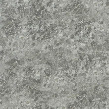 PDG640/05 Botticino Sukumala Wallpaper by Designers Guild