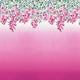 Trailing Rose Scenes and Murals Wallpaper By Designers Guild