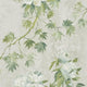 Floreale Caprifoglio Wallpaper by Designers Guild
