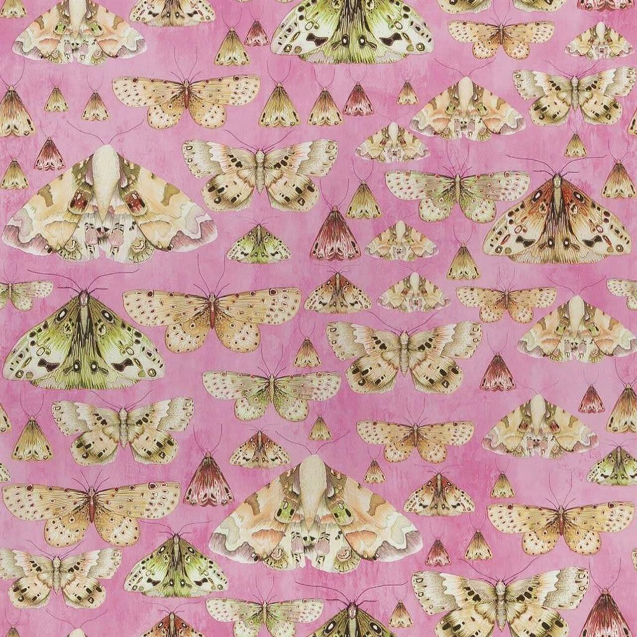 PDG713/03 Issoria Jardin Des Plantes Wallpaper by Designers Guild