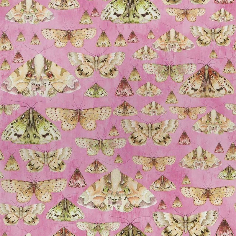 PDG713/03 Issoria Jardin Des Plantes Wallpaper by Designers Guild