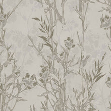 PH49201 Panthera Wallpaper by Today Interiors