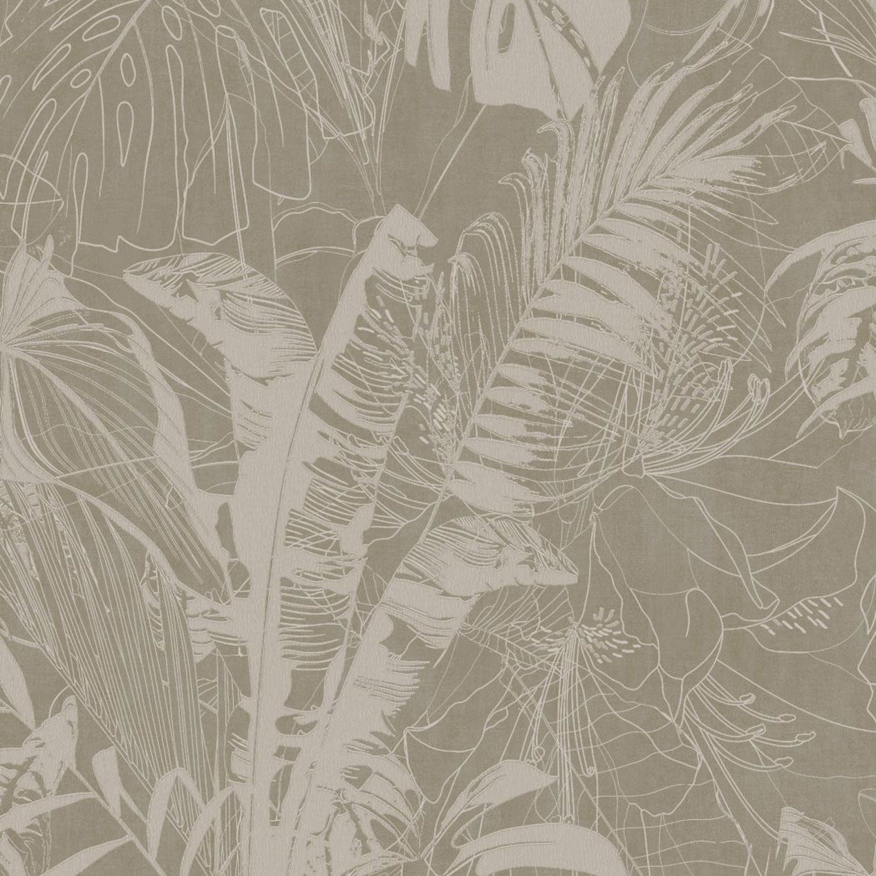 PH49301 Panthera Wallpaper by Today Interiors