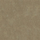 PH49402 Panthera Wallpaper by Today Interiors