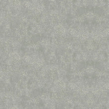 PH49502 Panthera Wallpaper by Today Interiors