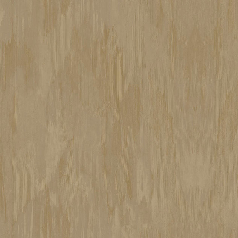 PH49705 Panthera Wallpaper by Today Interiors