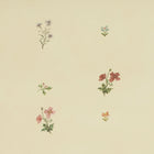 W-M-CO-T-25-52 Mitford Tea Tea Wallpaper by Parker & Jules