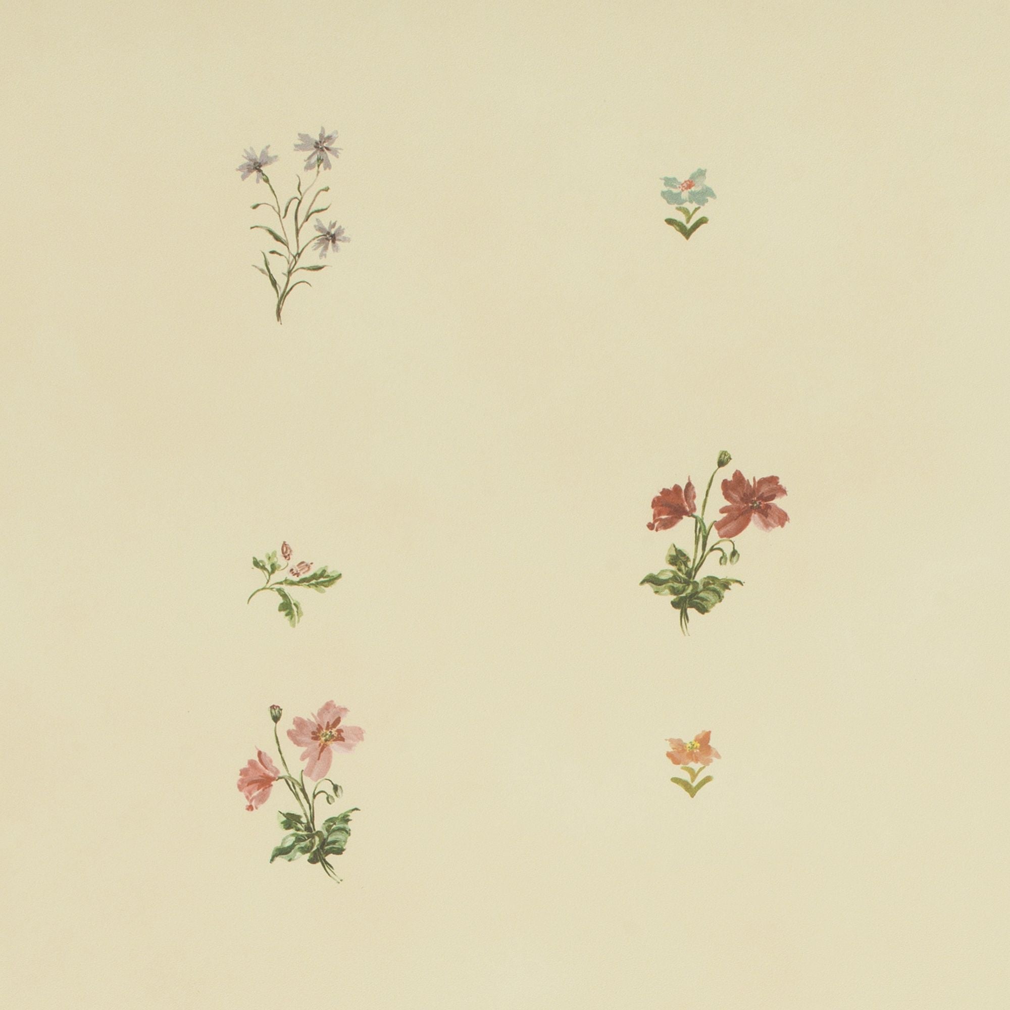 W-M-CO-T-25-52 Mitford Tea Tea Wallpaper by Parker & Jules
