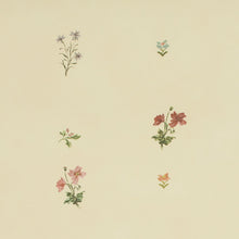 W-M-CO-T-25-52 Mitford Tea Tea Wallpaper by Parker & Jules