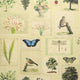 Flora & Fauna Parchment Picture Book Paper Wallpaper by Designers Guild
