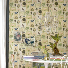 PJD6001/01 Flora And Fauna Picture Book Papers Parchment Wallpaper by John Derian