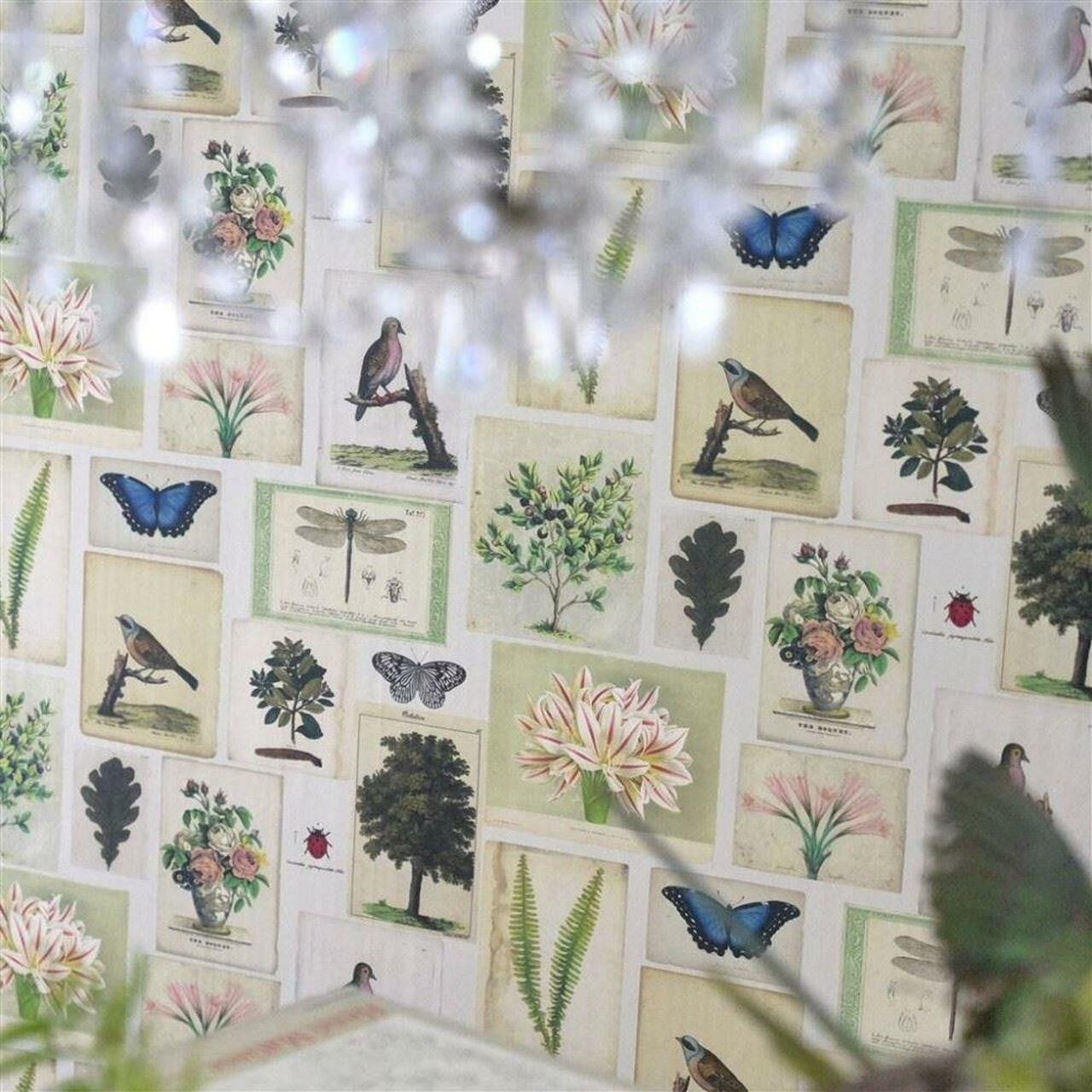 PJD6001/01 Flora And Fauna Picture Book Papers Parchment Wallpaper by John Derian