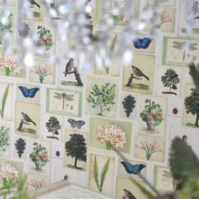 PJD6001/01 Flora And Fauna Picture Book Papers Parchment Wallpaper by John Derian