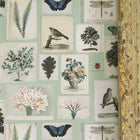 PJD6001/02 Flora And Fauna Picture Book Papers Cloud Blue Wallpaper by John Derian