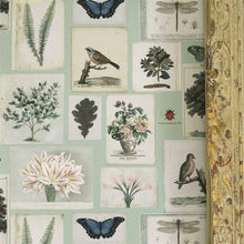 PJD6001/02 Flora And Fauna Picture Book Papers Cloud Blue Wallpaper by John Derian