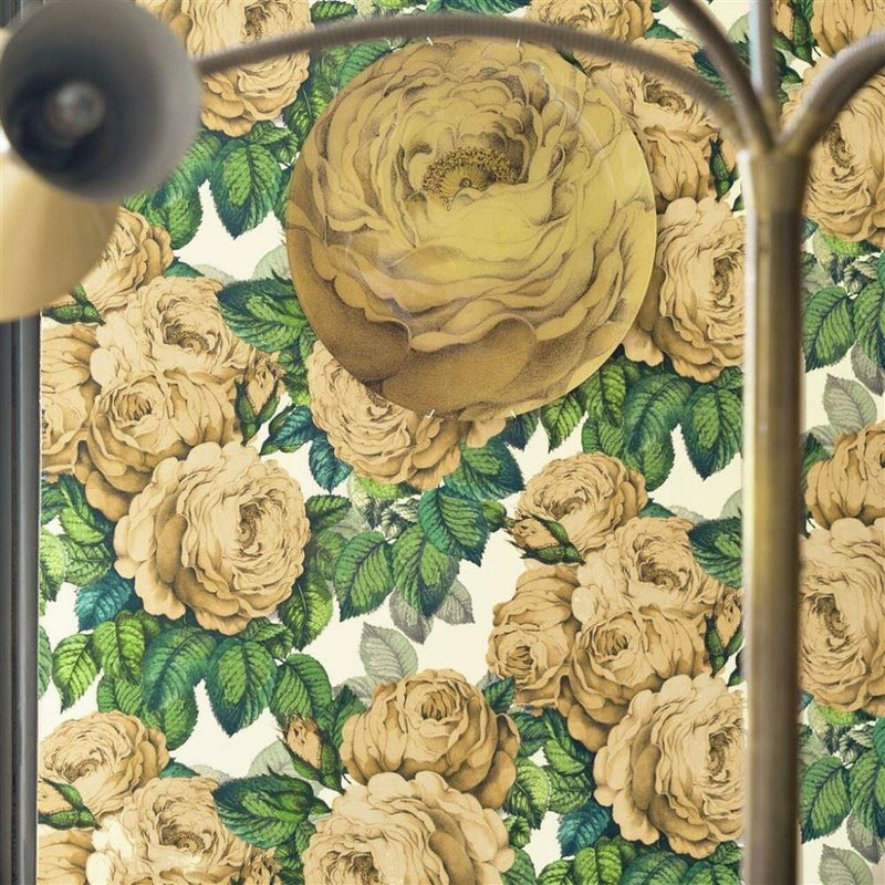 PJD6002/01 The Rose Sepia Picture Book Paper Wallpaper by Designers Guild
