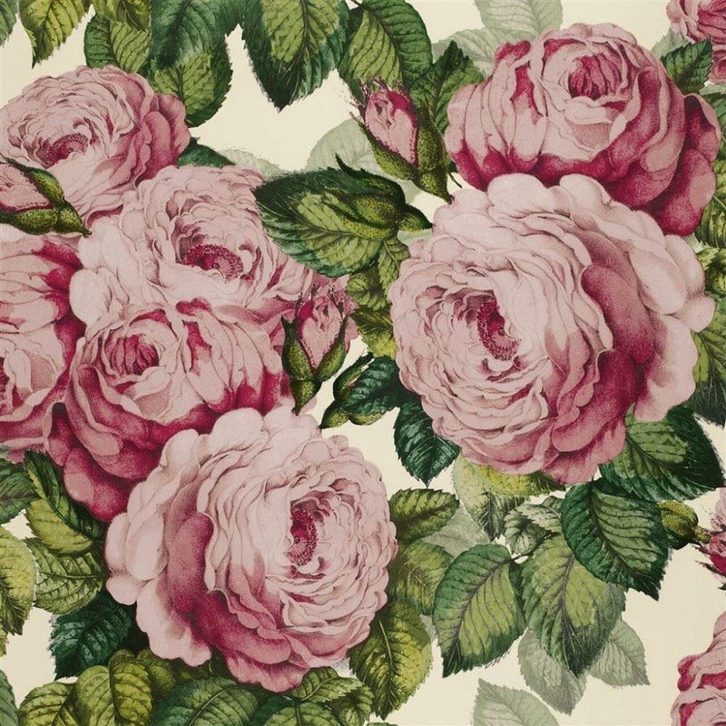 PJD6002/02 The Rose Tuberose Picture Book Paper Wallpaper by Designers Guild