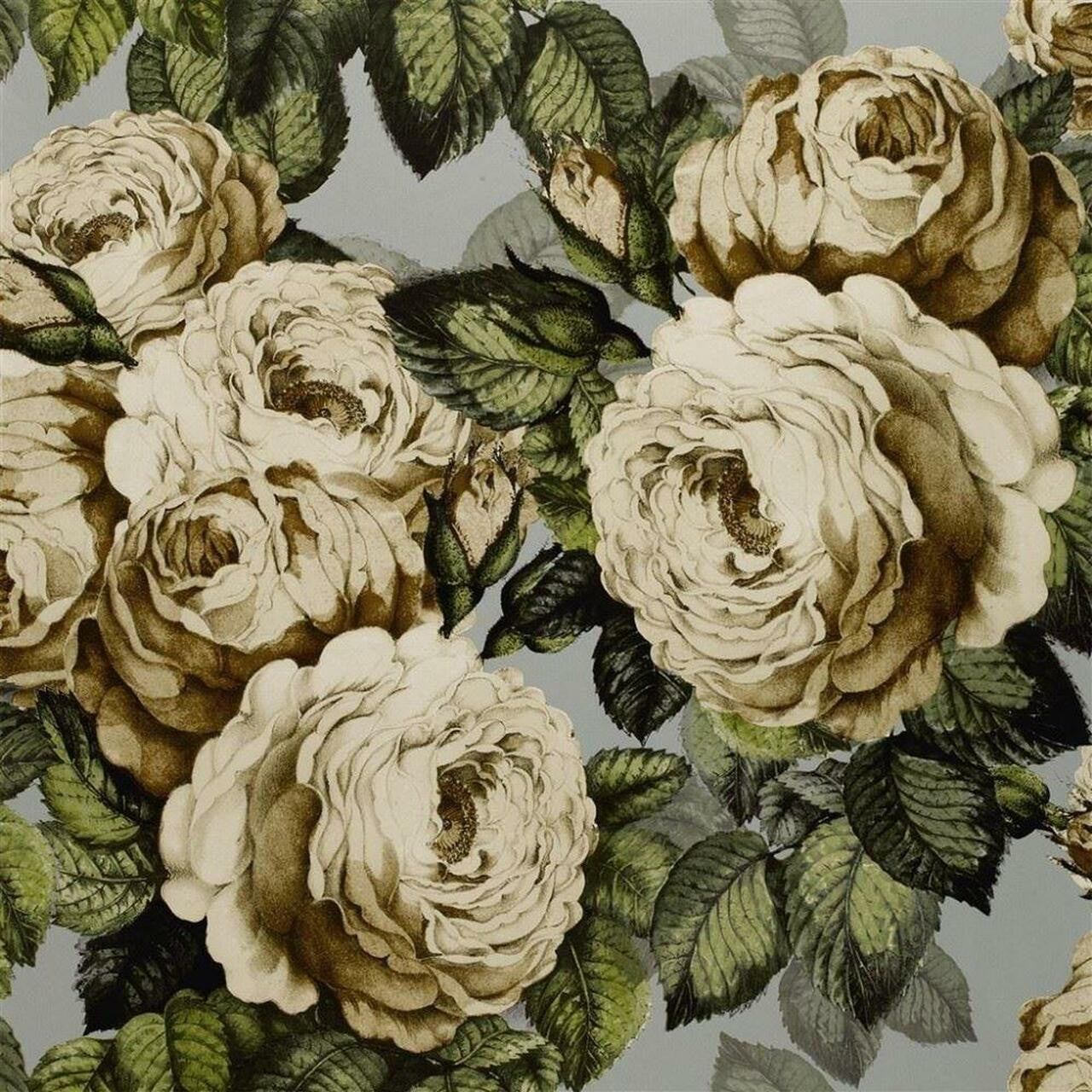 PJD6002/06 The Rose Picture Book Papers Steel Wallpaper by John Derian