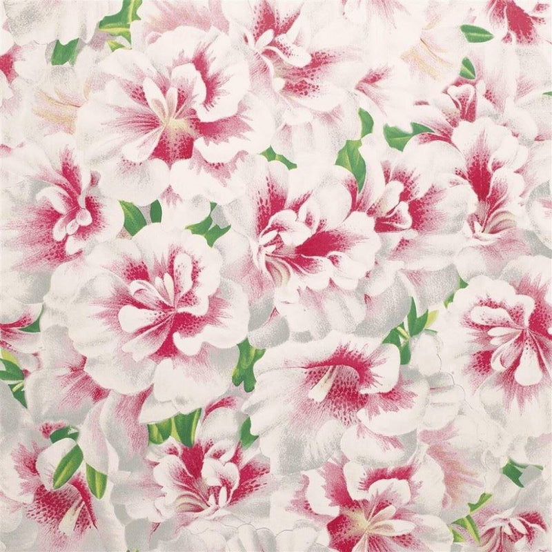PJD6004/01 Variegated Azalea Picture Book Papers Azalea Wallpaper by John Derian