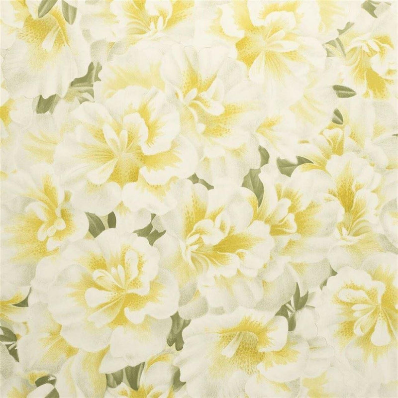 PJD6004/03 Variegated Azalea Picture Book Papers Mimosa Wallpaper by John Derian