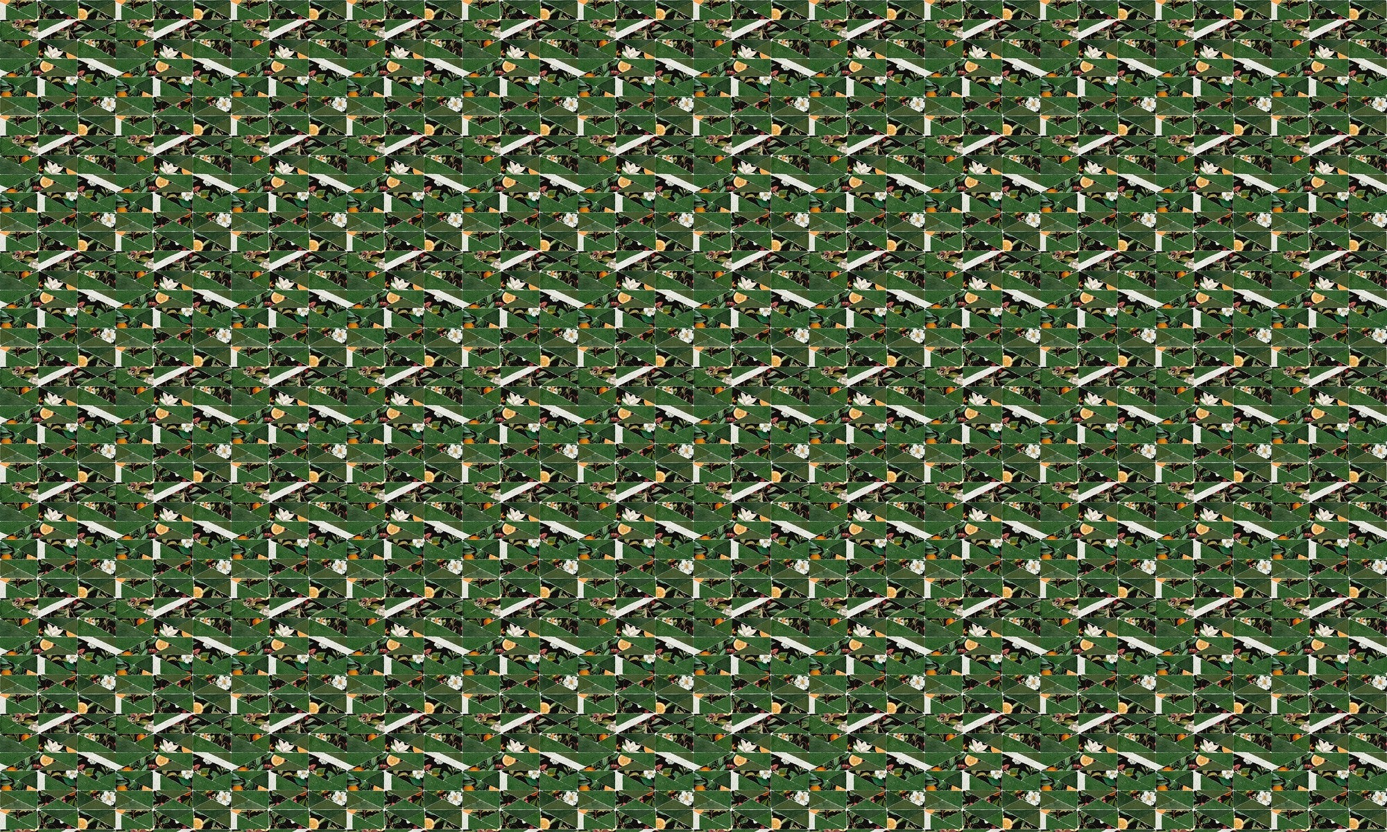 PL5005-1 Hidden Fruits Green Playful Layers Wallpaper by Tres Tintas