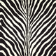 Bartlett Zebra Signature Penthouse Suite Wallpaper By Ralph Lauren