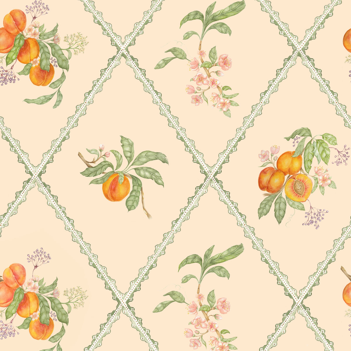 Peach Trellis Melba Wallpaper by Voyage Maison | PTRELLI/WPO/MEL