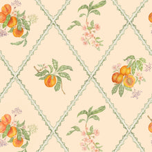 Peach Trellis Melba Wallpaper by Voyage Maison | PTRELLI/WPO/MEL