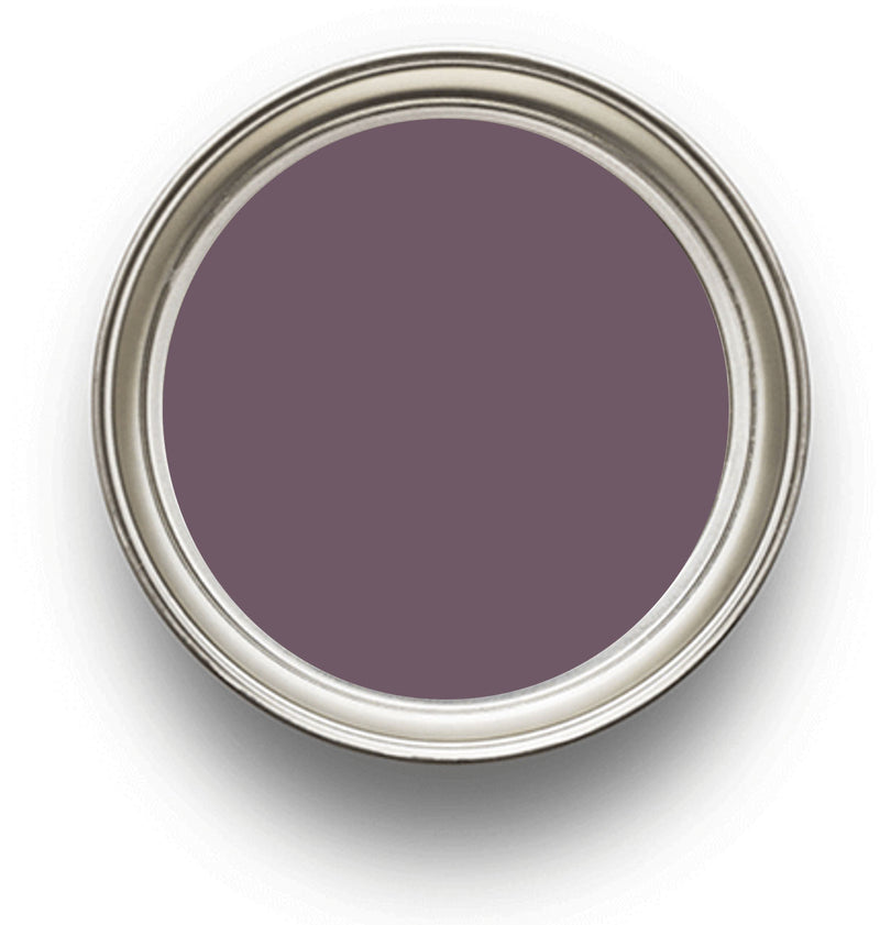 Purple Tulip Zoffany Paint