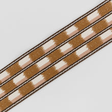 Zhari Braid Tuscan Pink Pinto Trimmings by Romo