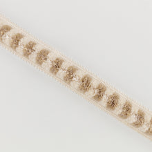 Alvie Brush Oyster Pinto Trimmings by Romo