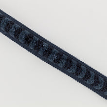 Alvie Brush Indigo Pinto Trimmings by Romo