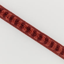 Alvie Brush Harissa Pinto Trimmings by Romo