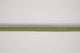 Riko Cord Matcha Pinto Trimmings by Romo