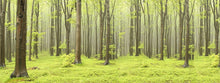 R10101 Deciduous Forest Mural by Rebel Walls