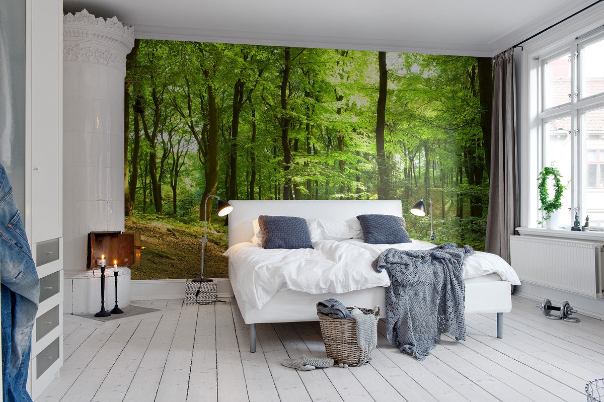 R10141 Forest Panorama Mural by Rebel Walls