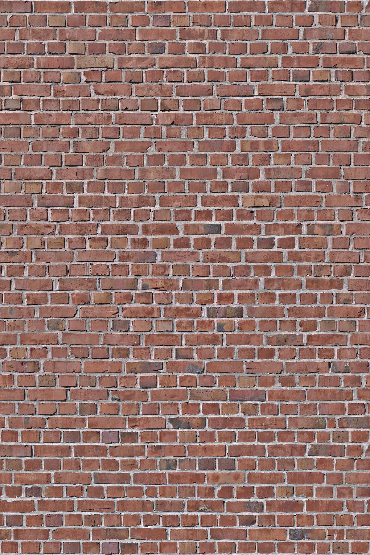 R10961 Brick Wall Red Panorama Mural by Rebel Walls