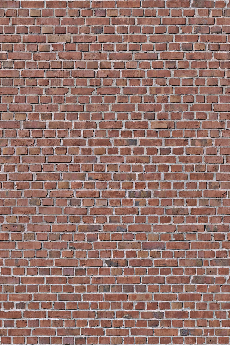 R10961 Brick Wall Red Panorama Mural by Rebel Walls