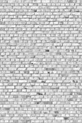 Brick Wall White Panorama Mural by Rebel Walls