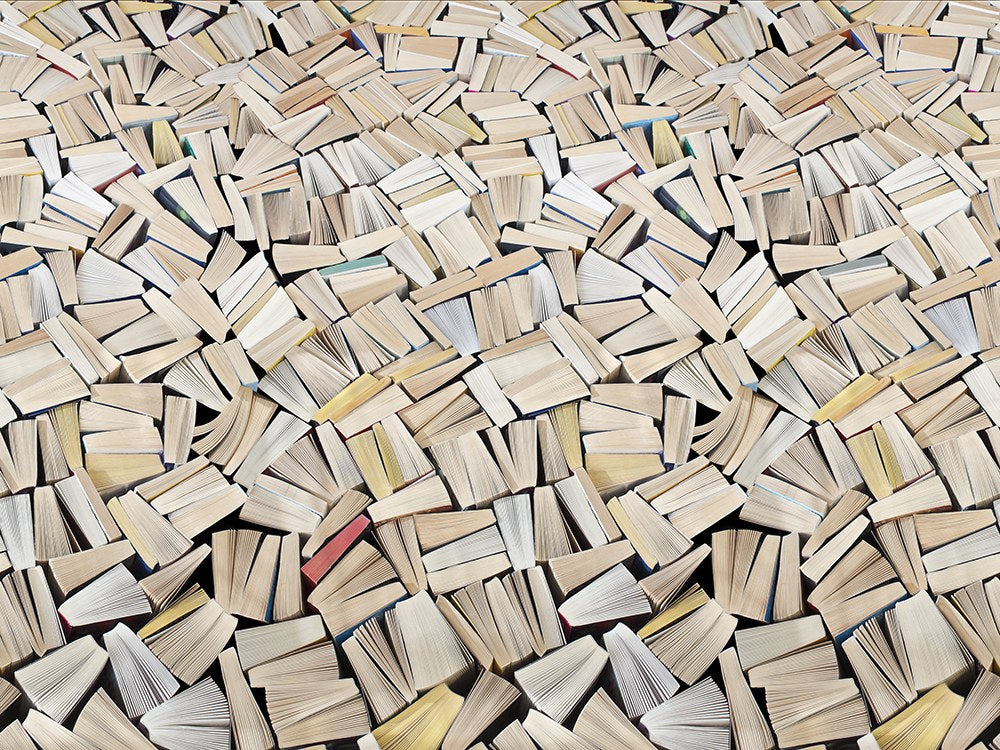R11511 Books Panorama Mural by Rebel Walls