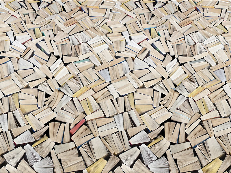 R11511 Books Panorama Mural by Rebel Walls