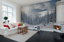 R11571 Winter Panorama Mural by Rebel Walls