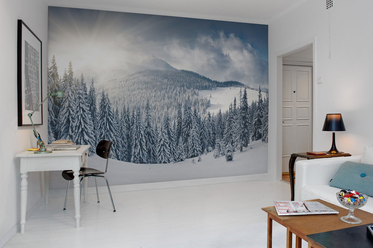 R11571 Winter Panorama Mural by Rebel Walls